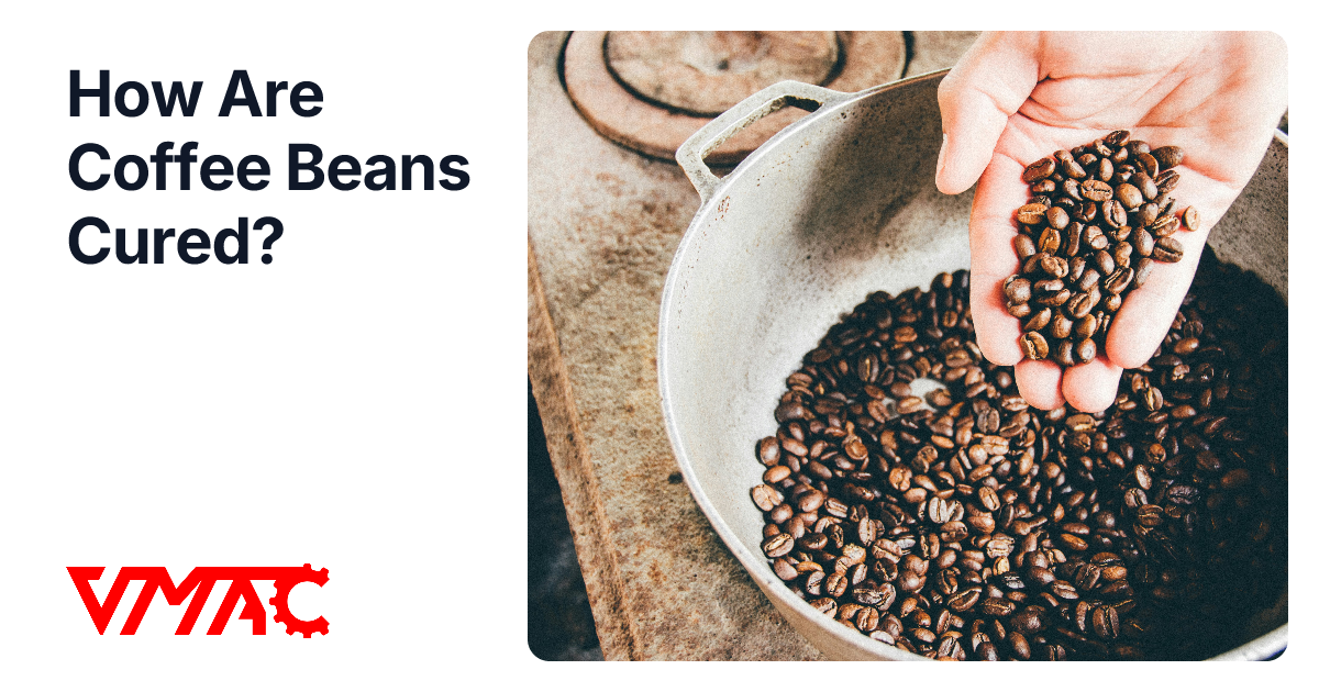 How Are Coffee Beans Cured? | VMAC Industries